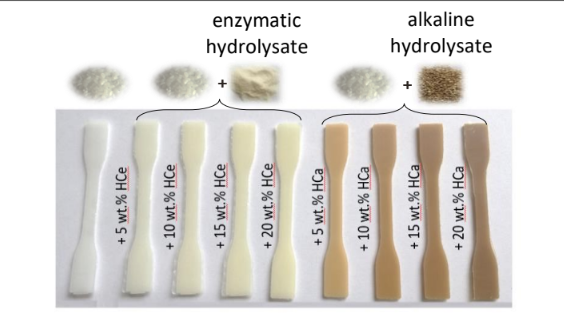 biocompositi1