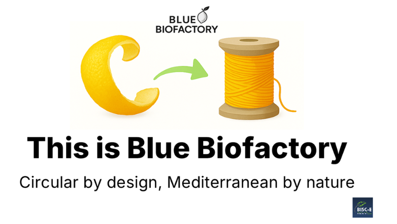 Blue Factory