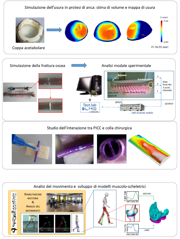 biomeccanica